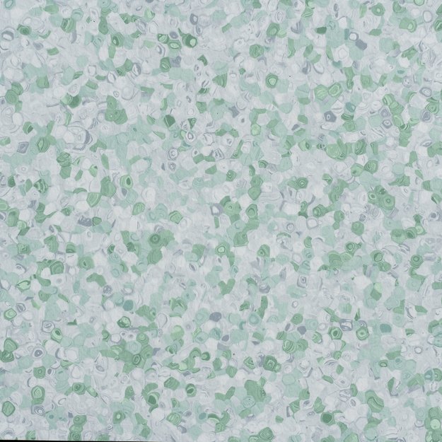 Graboplast, Fortis, Gecko, 2m, homogeninė PVC grindų danga 1